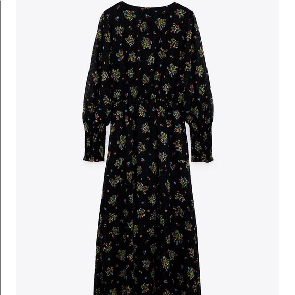 Zara Printed Dotted Mesh Dress - Picture 5 of 7